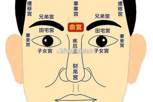 面相手相学：如何利用面部与手部特征提升人生运势