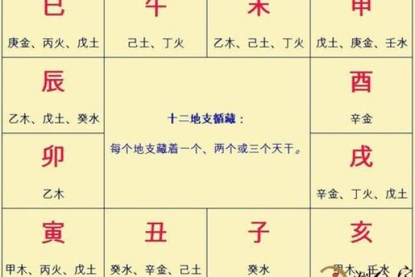 如何通过八字排盘解读大运走势与人生运势