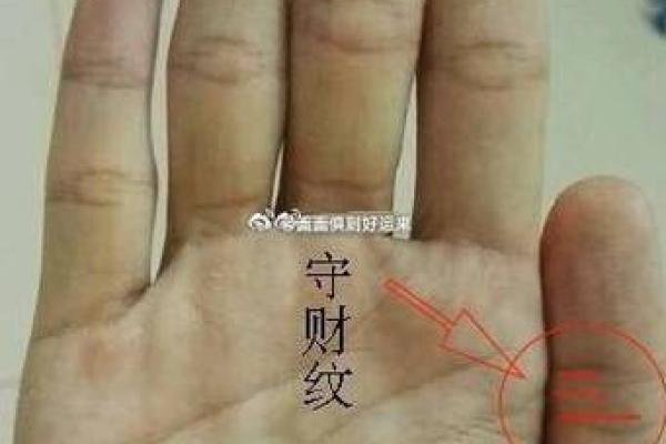手相十斗揭秘：如何通过手掌线条判断命运走势