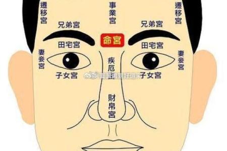 面相手相学：如何利用面部与手部特征提升人生运势