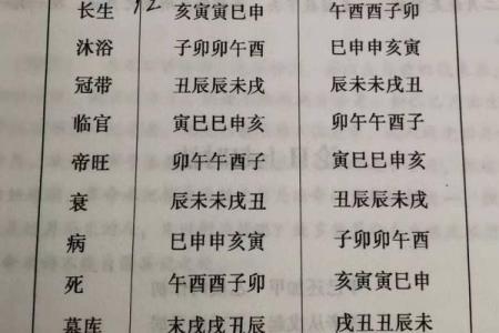天干地支生克制化的基本原理与实际应用解析