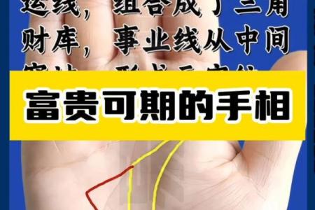 揭秘富贵命的手型特征