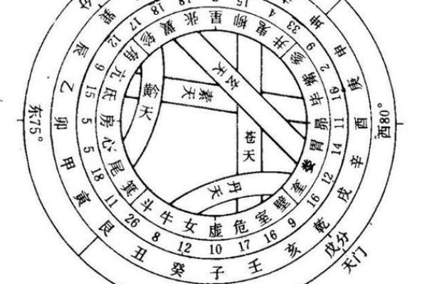 探索天干地支循环的深层次关联