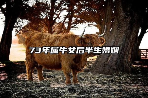 属牛女性与属虎男性的婚姻：相互吸引还是难以调和