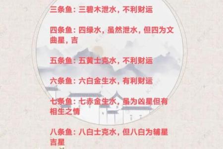 高考命理策略：根据生辰八字定制你的复习计划