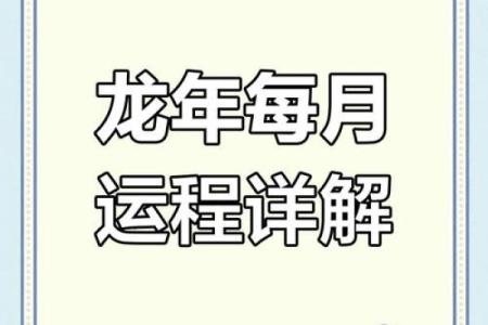 属龙人命理运程：优势与挑战并存