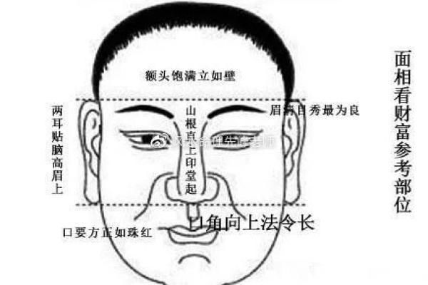 面相与命理结合：你是否能通过脸部特征预测人生大事