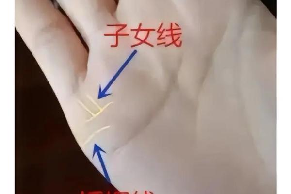 手相中的离婚暗示：从掌纹看婚姻走向