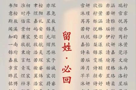 天字宝宝起名指南：如何选择最适合的名字