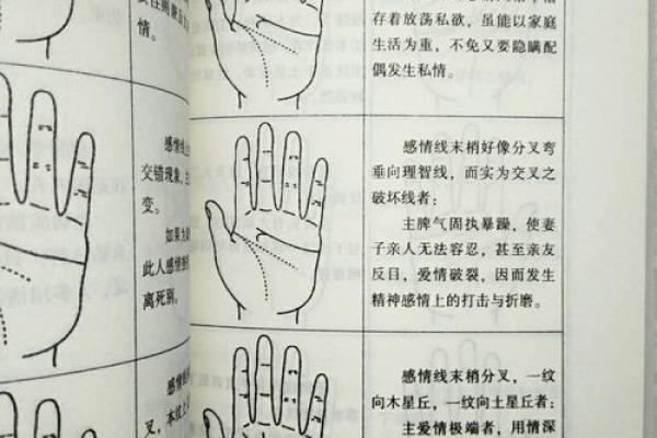 面相手相入门指南：通过观察面部与手纹洞察未来