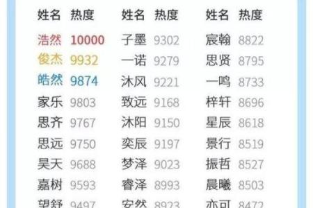 男孩名字流行趋势及选择指南