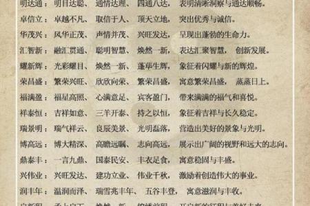 精选公司名称方案：提升品牌形象的起名技巧