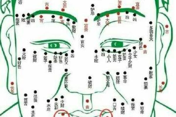 如何通过胡须判断面相中的财富与健康