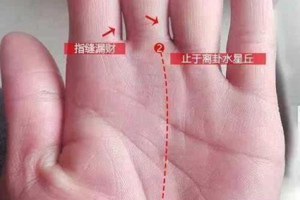 通过左手手相解读个人命运与性格特点
