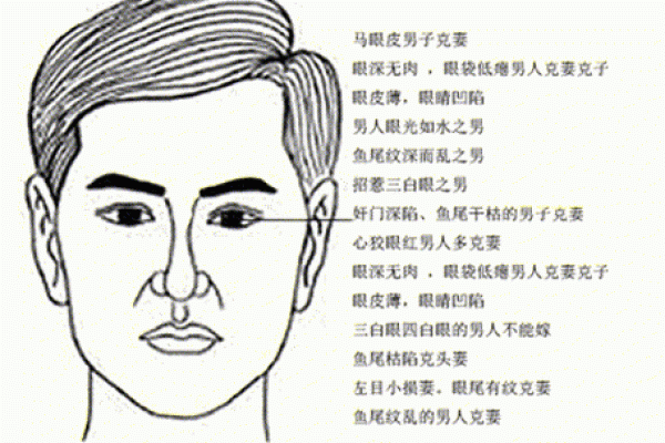 面相分析：哪些特征代表富贵命