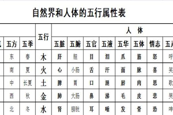 培字五行属性解析及其相关含义
