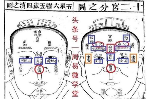 奇门遁甲与家排盘的深度结合：探索命理与家庭能量的互动关系