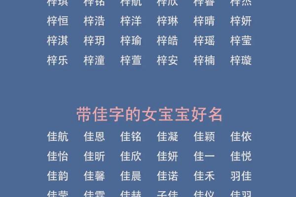龙姓宝宝起名推荐：既传统又现代的名字选法