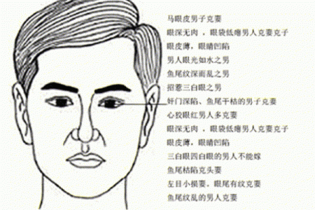 面相分析：哪些特征代表富贵命