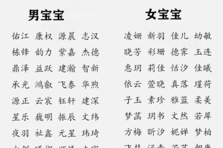 龙姓宝宝起名推荐：既传统又现代的名字选法