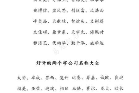 创意无限：如何用免费工具为公司起个好名字
