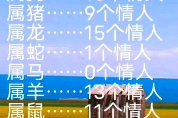 属龙和属兔的缘分是否注定？一探究竟