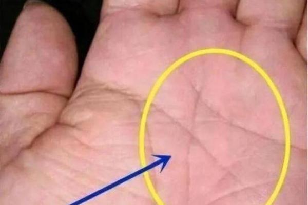 手相如何影响你的人生：掌纹的好坏与性格特征