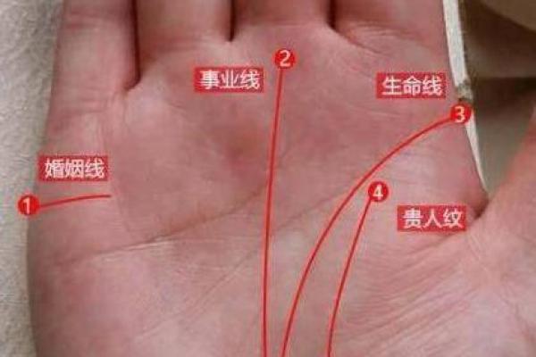 手相中间的线：揭开命运的神秘面纱