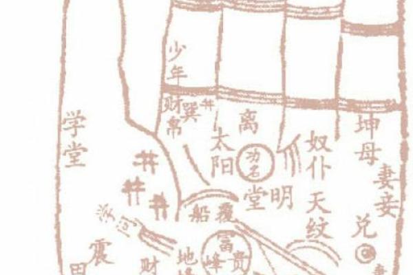 掌中之宝：手相十斗解析你的未来运势