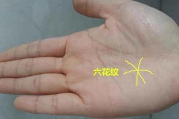 手相细纹解析：揭示生活细节与健康秘密