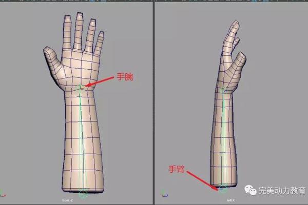 探索手指命理：如何通过手指分析人生轨迹