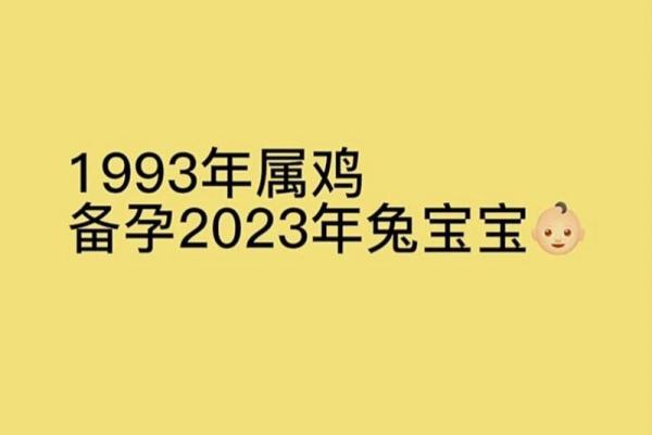 属龙与属兔：天生不合还是可以携手一生