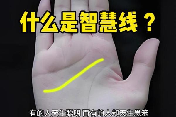 手相中的智慧符号：从细节看个体成长