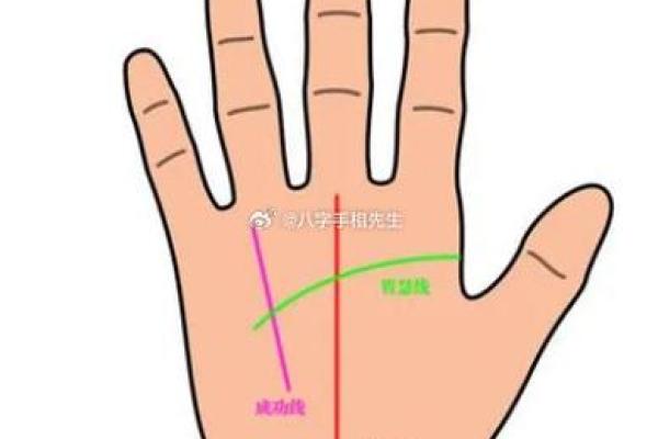 免费手相面相测试，揭示你的命运轨迹