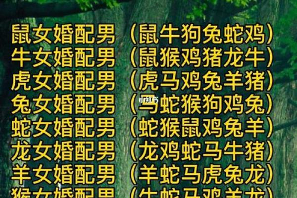 八字合婚解析：如何看待婚姻匹配的分数标准