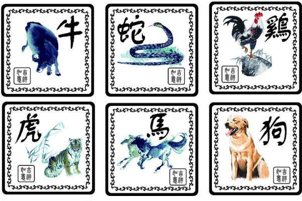 后果是什么生肖：揭秘与命运紧密相关的属相特点