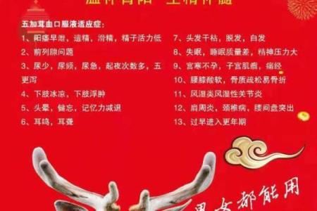 免费三字公司名称大全 助力品牌快速起步
