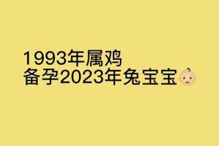 属龙与属兔：天生不合还是可以携手一生