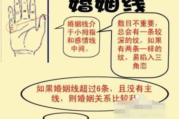 张卫健命理与性格解析：命运如何影响他的每一步