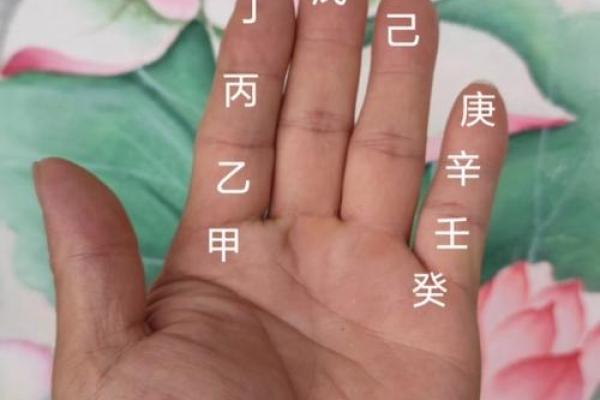 深入理解天干，学会准确查找并解读其含义