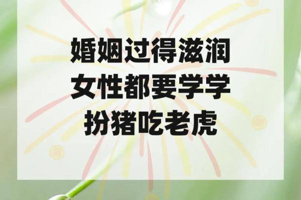 猪虎相配的婚姻如何 适合吗？