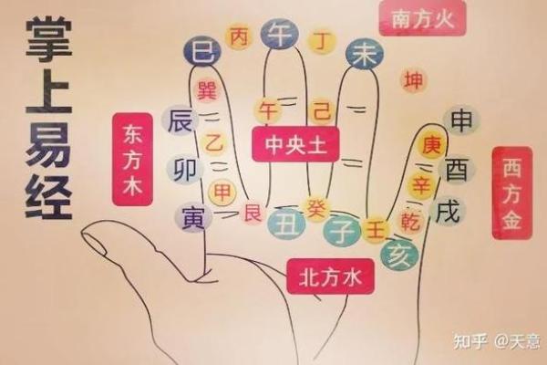 十天干掌图解读与命理运势分析