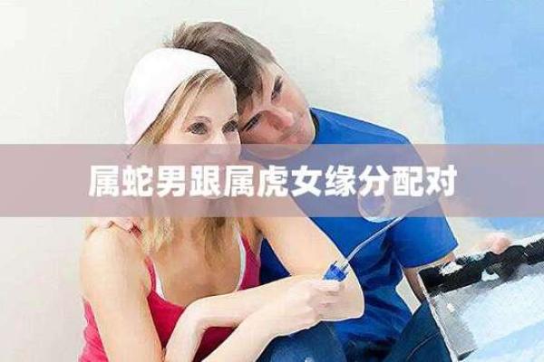 属蛇与属虎的缘分：性格契合还是冲突？