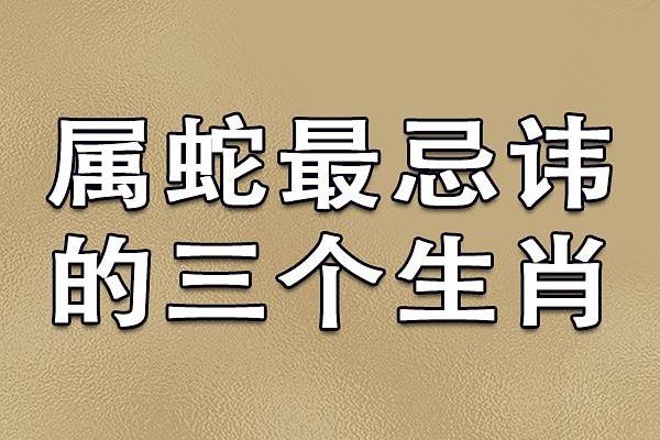 属虎男与属狗女的性格差异及和谐之道