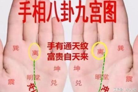 十天干掌图解读与命理运势分析