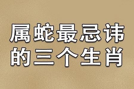 属虎男与属狗女的性格差异及和谐之道