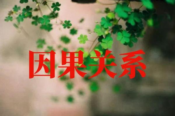 命理因果论：探讨人生命运中的因果关系