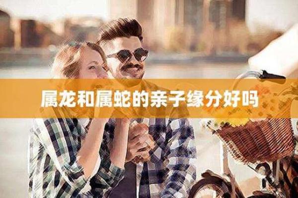 属龙女与属蛇男的关系：潜力与障碍并存