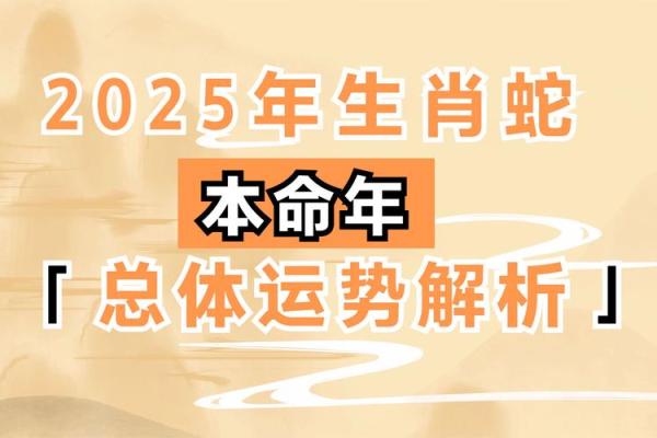 年命解析：如何理解每年对应的命运特征