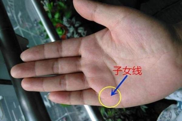 握拳的意义与手相的关系：性格特征与心理暗示
